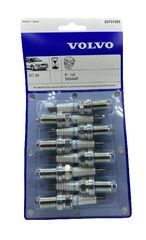 Spark Plug - Volvo (30731383)