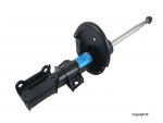 8667248 - Suspension: Suspension Strut for Volvo: S60, S80, V70 Image