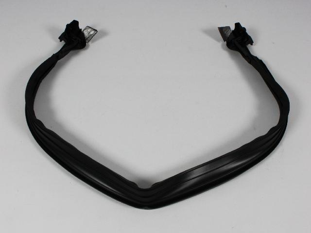 55395241AI - Glass: Windshield To Cowl Weatherstrip for Mopar Image image