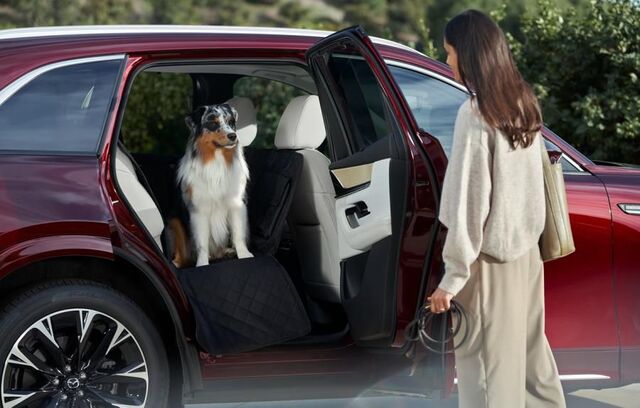 KMV6V0240 - Interior: Pet Seat Protector for Mazda: CX-30, CX-5, CX-50, MX-30 EV Image