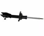 BT4Z18124D - Suspension: 2009-2015 Ford Strut - Motorcraft (AST-913) for Ford: Edge | Lincoln: MKX Image
