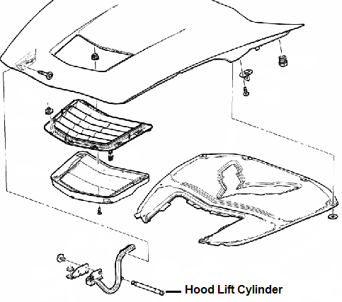 22772878 - : HOOD LIFT for GM Image