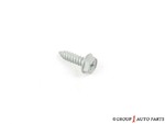 85666205A - Electrical: Fog Lamp Assembly Screw for Nissan: 200SX, 350Z, 370Z, Altima, Armada, Frontier, GT-R, Kicks, Maxima, Murano, NV200, Qashqai, Quest, Rogue, Rogue Sport, Sentra, TITAN, TITAN XD, Versa, Versa Note Image