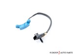 12567649 - Electrical: Crankshaft Sensor for GM Image