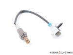 12584925 - Emission System: Ft Oxygen Sensor for GM Image