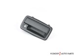 15202912 - Body: Handle, Outside for GM Image