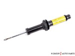 19256655 - Suspension: Shock Absorber for GM Image