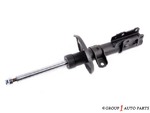 20794270 - Suspension: Strut for GM Image