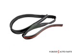 21993936 - Body: Drip Weather-strip for GM Image