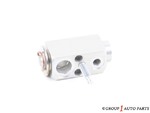 22804122 - : Air Conditioning Thermal Expansion Valve for GM Image