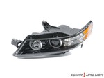 33151SEPA32 - : Headlamp Assembly for Acura: TL Image