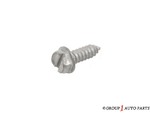 6034866 - Frame, Bumper and Fascia: Tapping Hex Flange Head Screw for Chrysler: 200, 300, 300M, Concorde, Pacifica, PT Cruiser, Sebring, Town &amp; Country, Voyager | Dodge: Avenger, Caliber, Caravan, Challenger, Charger, Dakota, Dart, Durango, Grand Caravan, Intrepid, Journey, Magnum, Neon, Ram 1500, Ram 2500, Ram 3500, Stratus, Viper | Fiat: 500X | Jeep: Cherokee, Compass, Gladiator, Grand Cherokee, Grand Cherokee L, Grand Cherokee WK, Grand Wagoneer, Liberty, Patriot, Renegade, Wagoneer, Wrangler, Wrangler JK | Ram: 1500, 1500 Classic, 2500, 3500, C/V, Dakota Image