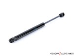 74149SEPA01 - : Support Cylinder for Acura: TL Image