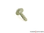 N806034S438 - Body: Side Retainer Screw for Ford: Focus, Fusion | Lincoln: MKZ, Zephyr | Mercury: Milan Image