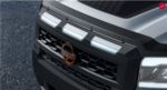 T99F59BU0A - Exterior: Upper Grille Accent Lighting for Nissan: Frontier Image