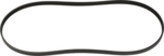 119504S100 - Cooling System: Power Steering Belt for Nissan: Frontier, Xterra Image