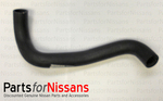215043S500 - Cooling System: Lower Hose for Nissan: Frontier, Xterra Image