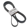117207LG0A - : Serpentine Belt for Nissan: Kicks Image