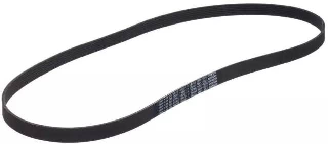 Amazon.com: 90K-39162A Serpentine Belt Drive Component Kit
