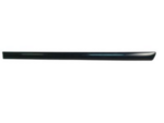 828717Y900 - Body: Body Side Molding for Nissan Image