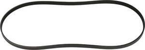                                     Power Steering Belt
                                