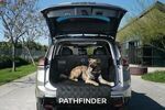 T99C36TA0P - Cargo Management: Pet Cargo Area Protector for Nissan Image