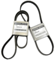999BKL31V6 - : 2002-2006 Nissan Altima 3.5 V6 Belt Kit for Nissan Image
