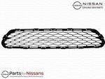 622544BA0A - : Lower Grille for Nissan: Rogue Image