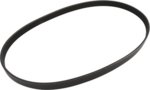 119207Y000 - : Serpentine Belt for Nissan: Maxima Image