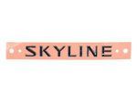 84895AL500 - : Nissan Mini "Skyline" Emblem - Infiniti G35 for Nissan: GT-R Image