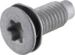 143300171 - Body: Striker Screw for Nissan Image