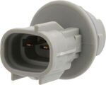 26243EA80A - Electrical: Socket for Nissan: Frontier, Pathfinder Image