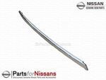 620743KA0A - : Chrome Strip for Nissan: Pathfinder Image