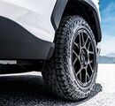 RAV4 17