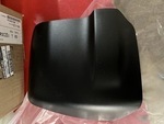 963731PA0E - : Mirror Cover for Nissan Image