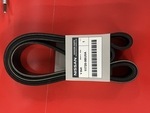 117209BU0B - : Serpentine Belt for Nissan Image