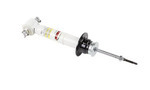85669618 - Suspension: Strut for GM Image