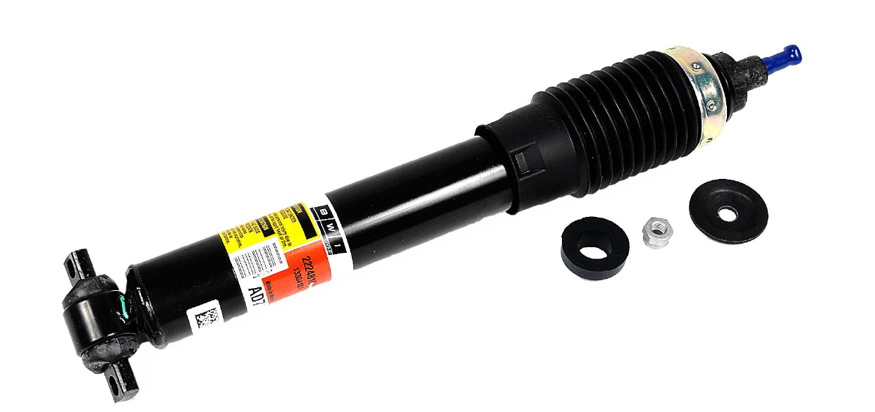 19302787 - : Front Shock Absorber Kit for GM Image