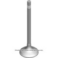 12708734 - Engine: Exhaust Valve for Cadillac: CT4 | Chevrolet: Colorado, Silverado 1500, Silverado 1500 LTD | GMC: Canyon, Sierra 1500, Sierra 1500 Limited Image