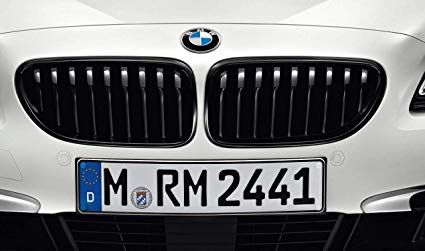 51712287953 - : BMW M PERFORMANCE BLACK GRILLE - LEFT for BMW Image