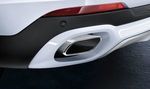 18302349679 - : BMW M PERFORMANCE CHROME TAILPIPE TIPS for BMW: X6 Image