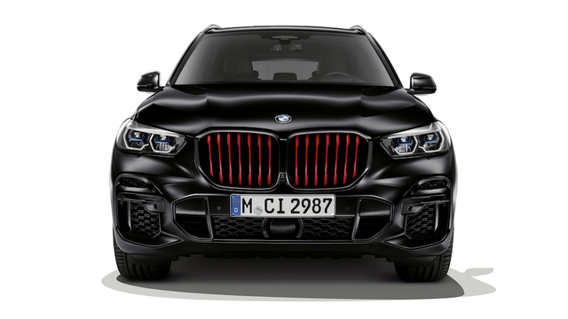 51135A363D0 - : BMW OEM SPECIAL EDITION GRILLE for BMW Image