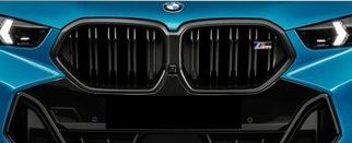 51135A38883 - : BMW OEM FRONT GRILLE IN MATTE BLACK WITH M BADGE for BMW: X6 Image