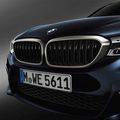 51138070470 - : BMW OEM CERIUM GREY FRONT GRILLE - RIGHT for BMW Image