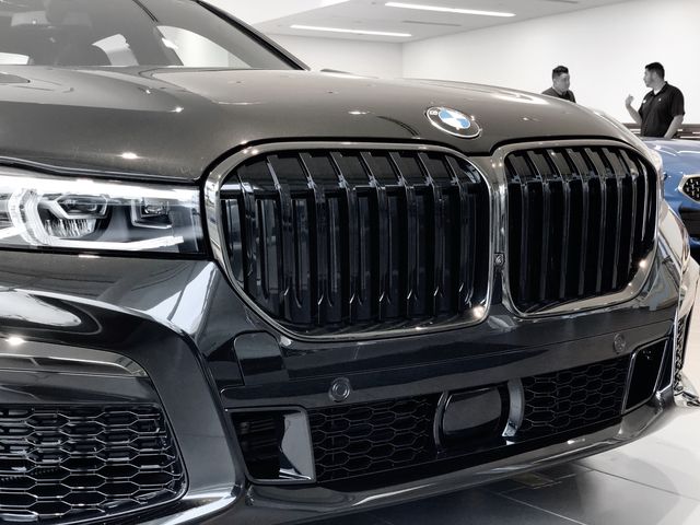 51138096133 - : BMW OEM HIGH-GLOSS SHADOW LINE FRONT GRILLE for BMW: 740i, 740i xDrive, 745e xDrive, 750i xDrive, M760i xDrive Image