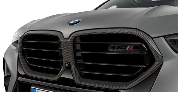 51135A69BE6 - : BMW OEM FRONT GRILLE IN CARBON FIBER for BMW Image