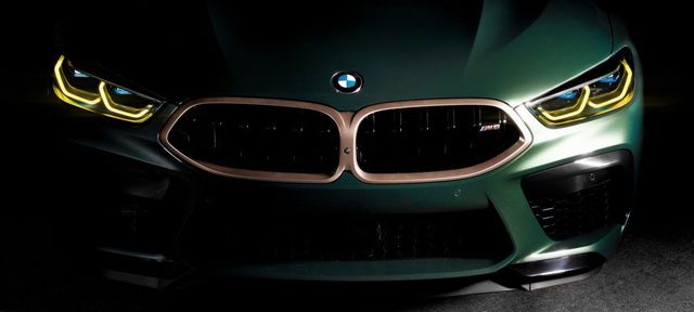 51139500753 - : BMW OEM "SPECIAL EDITION" IN GOLDBRONZE GRILLE for BMW Image
