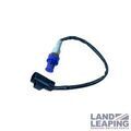 LR166505 - : Oxygen Sensor for Land Rover: Discovery, Range Rover, Range Rover Sport, Range Rover Velar Image