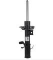 N1PZ18124A - Suspension: Suspension Strut for Ford: Bronco Sport Image