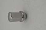 09596070 - : Wheel Lug Nut with Stainless Steel Cap for GM Image